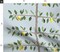 Lemon Botanical Soft Blue Vine Garden Citrus Orchard Custom Printed Fabric by Spoonflower Various Fabrics by the Yard or Fat Quarter